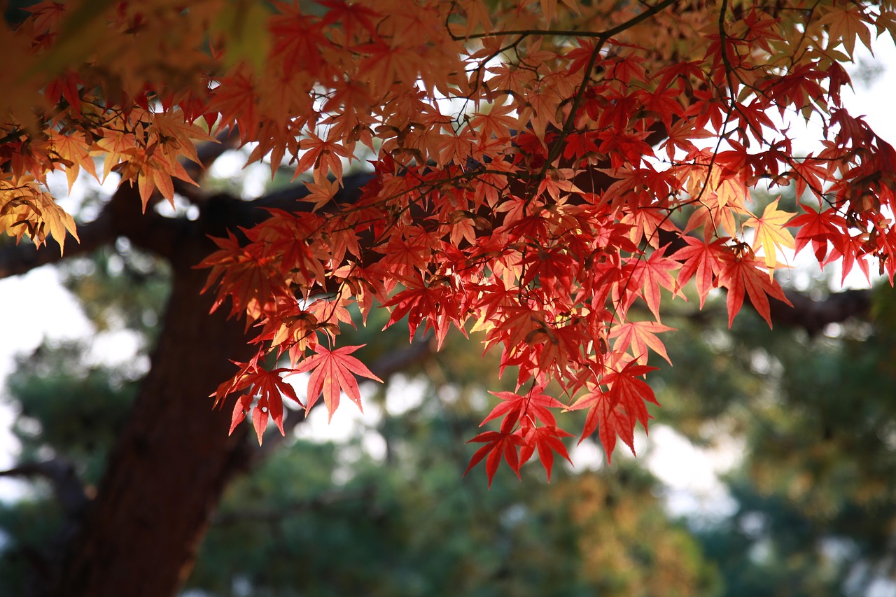 entdecken sie die neuesten herbsttrends, die ihr outfit aufpeppen! erfahren sie, welche farben, stoffe und styles in dieser saison angesagt sind, und lassen sie sich von unseren kreativen ideen inspirieren.