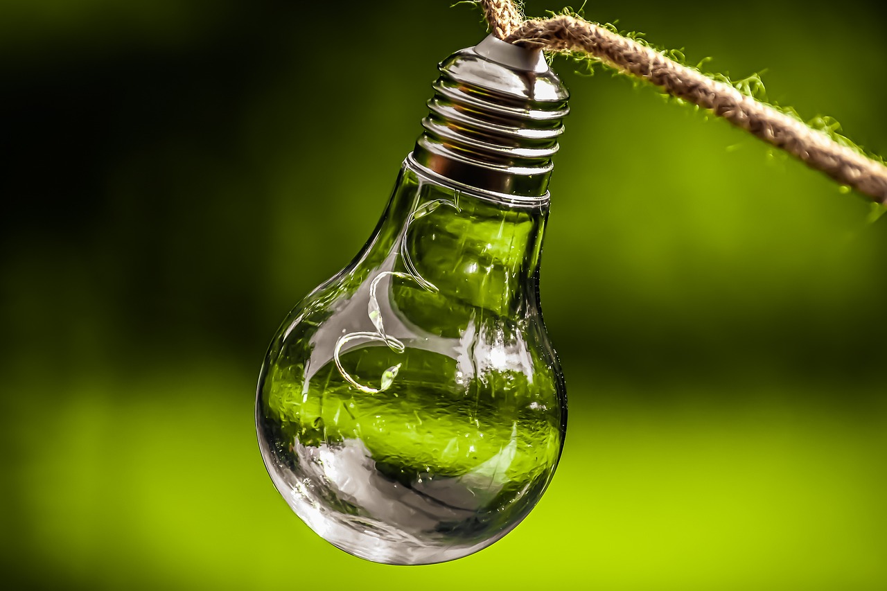 entdecken sie, wie nachhaltigkeit unsere welt verändert. erfahren sie, welche strategien und initiativen genutzt werden, um eine umweltfreundlichere zukunft zu gestalten und ressourcen effizient zu nutzen.
