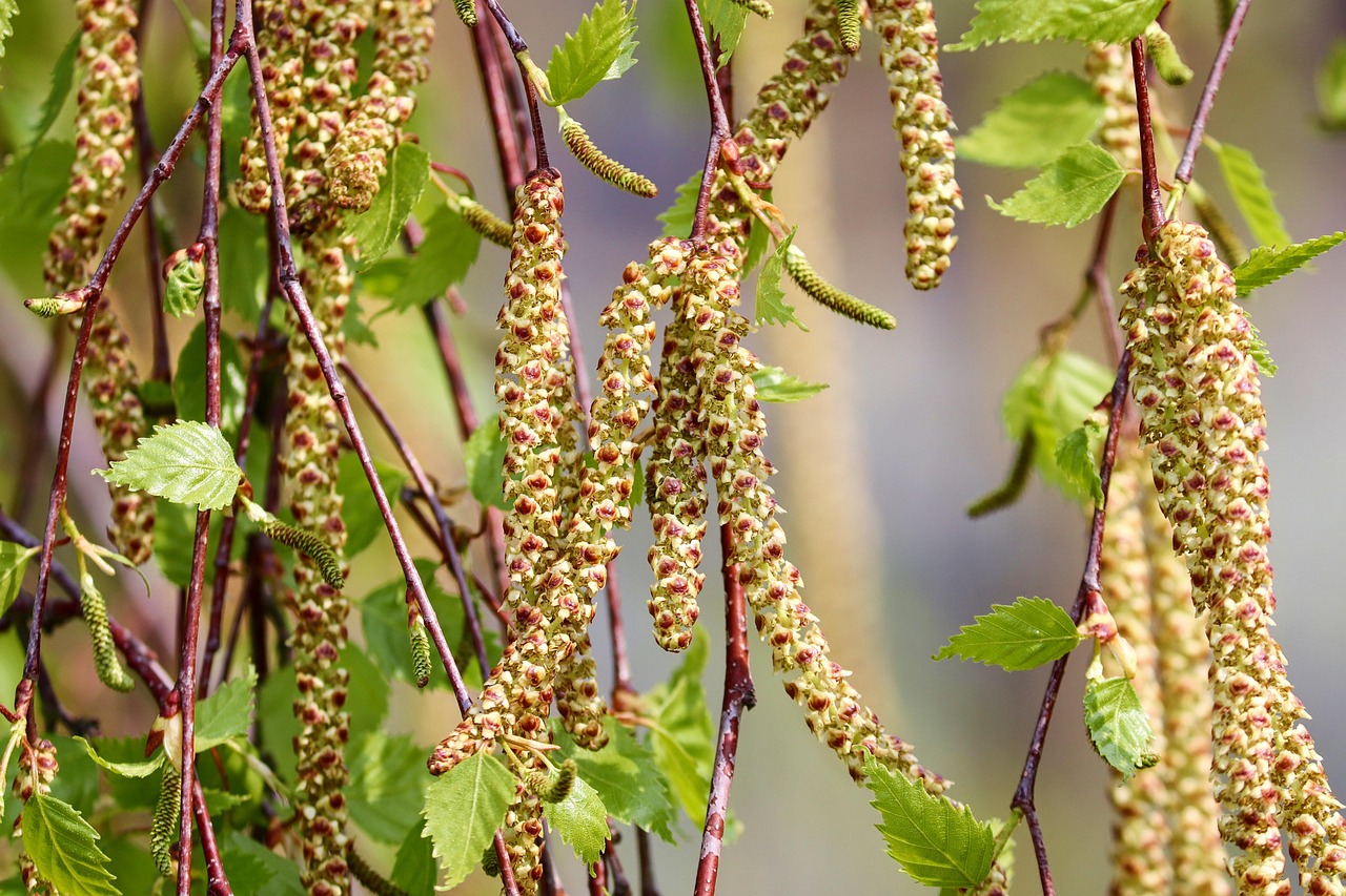 entdecken sie allergikerfreundliche produkte und lösungen, die speziell für menschen mit allergien entwickelt wurden. finden sie schmackhafte, gesunde und sichere optionen für ein allergiefreies leben.
