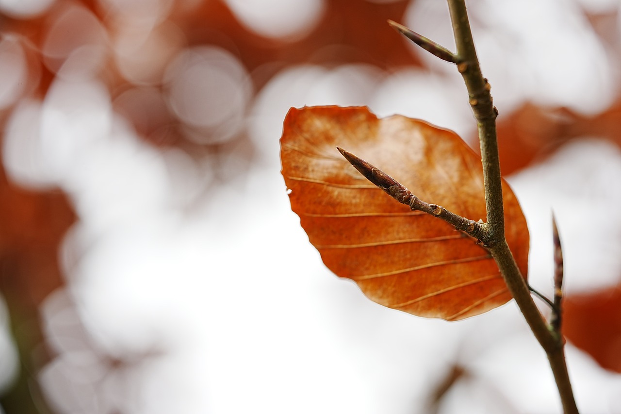 entdecken sie die neuesten herbsttrends, die ihren kleiderschrank mit stilvollen farben und mustern bereichern. lassen sie sich von unseren tipps und must-haves inspirieren, um diesen herbst modisch und gemütlich zu bleiben.