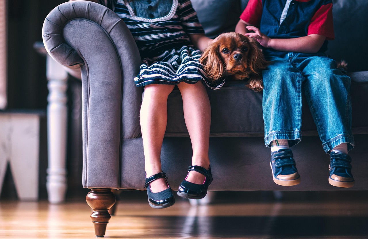 entdecken sie die neuesten trends in der kinderschuhmode! von bequemen sneakern bis zu stilvollen sandalen – finden sie die perfekten schuhe für jedes abenteuer ihres kindes.